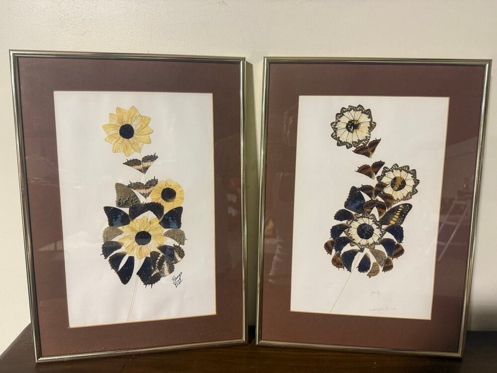 Set of 2 Signed Mid Century Butterfly Moth Wing Flower Art Framed 17.75x12.25”